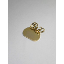 5T. Golden Key Ring Mod. Ab-753