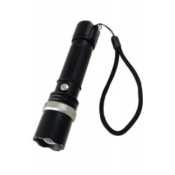 1T.  Black lantern of led and safety strap