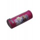 3T. Pencil case «Frozen»