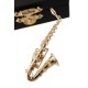 5T. Pin saxofon