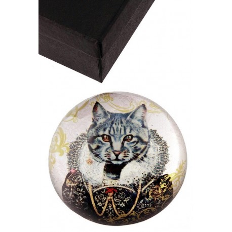 1T. Pisapapeles acrílico con estuche diseño «Gato engolado»