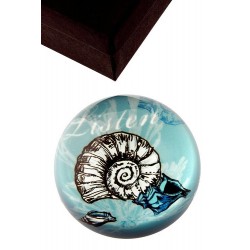 1T. Pisapapeles acrílico con estuche diseño «Caracola»