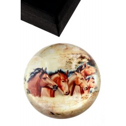 1T. Pisapapeles acrílico con estuche diseño «Caballos»