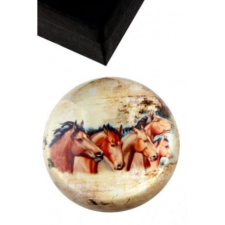 1T. Pisapapeles acrílico con estuche diseño «Caballos»